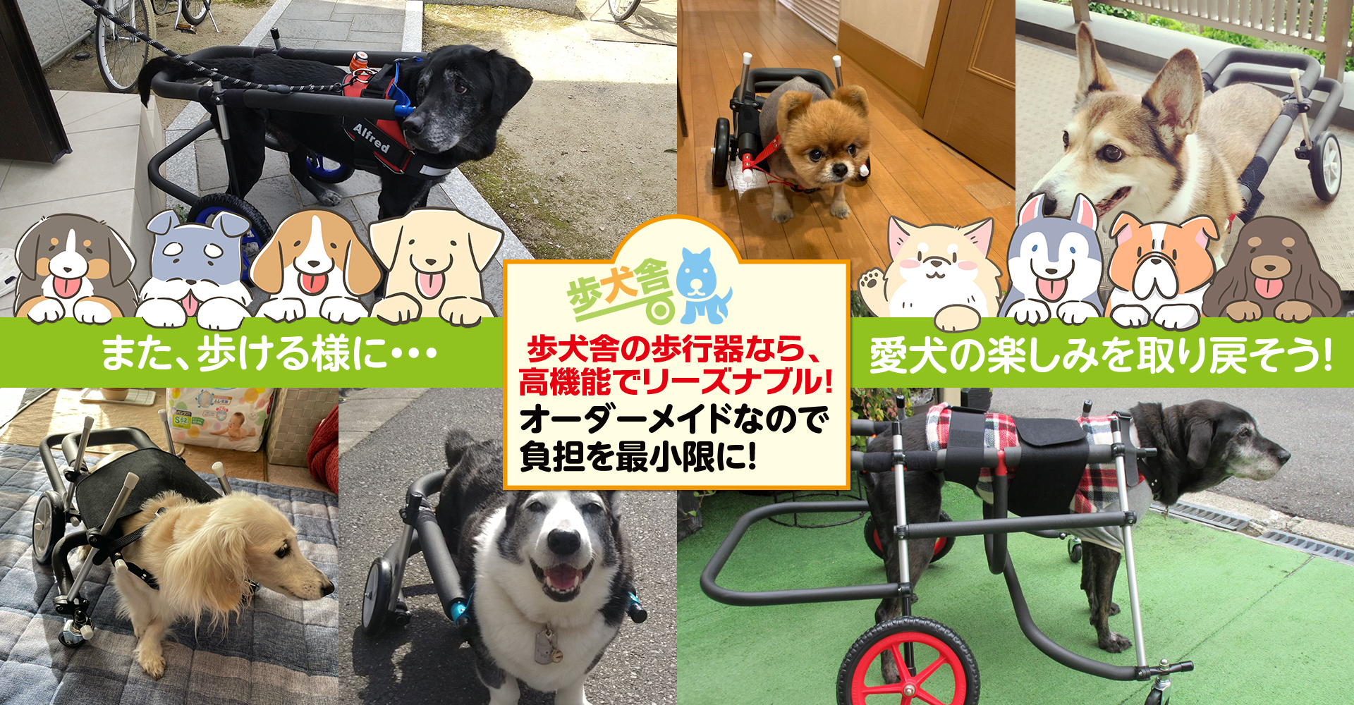 犬用椅子（歩行器）の歩犬舎